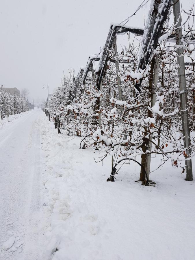 Auelehof Lägenhet Laives Exteriör bild