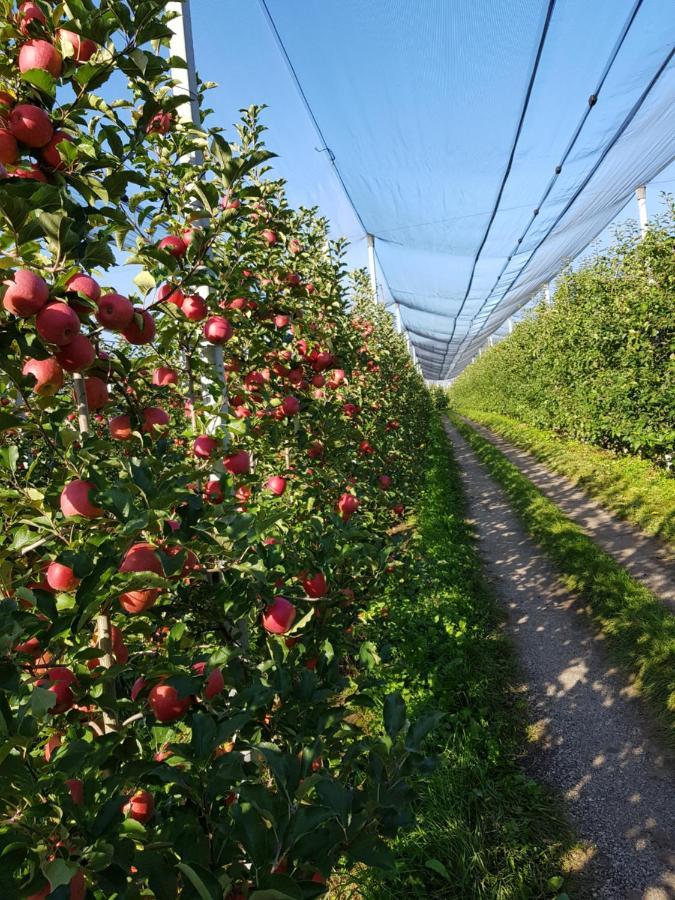 Auelehof Lägenhet Laives Exteriör bild